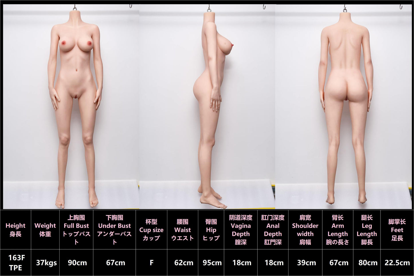 163cm/5ft4 F-cup Silicone Head Sex Doll - EVELYN