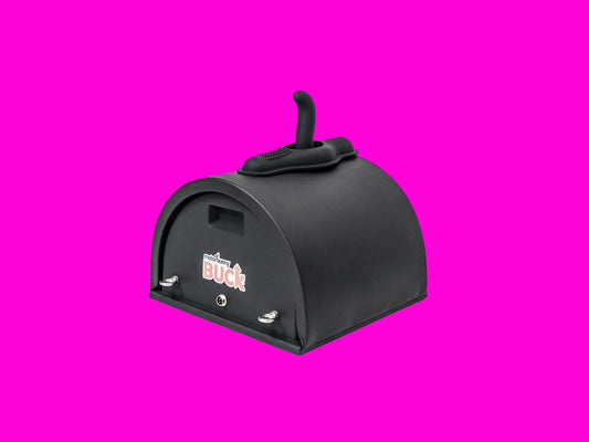 Review: Motorbunny Buck