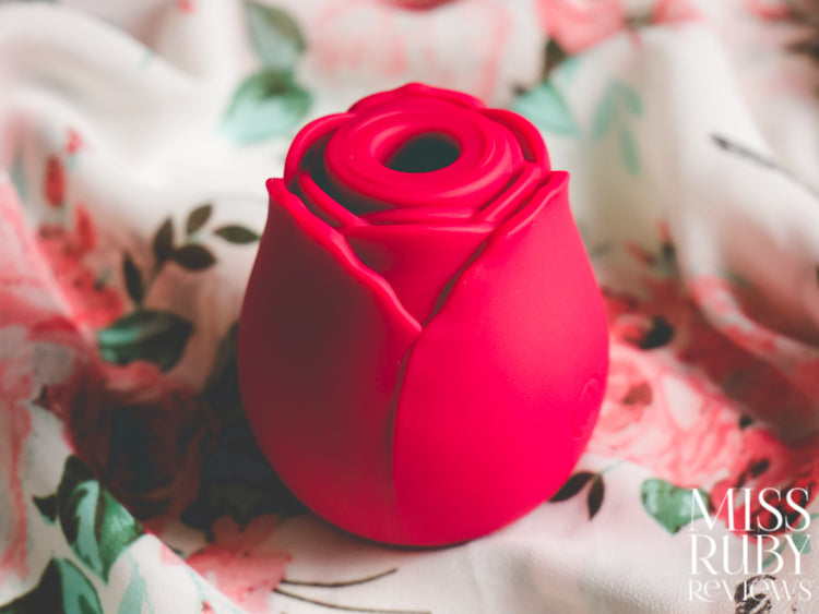 Review: Tracy's Dog Rosie