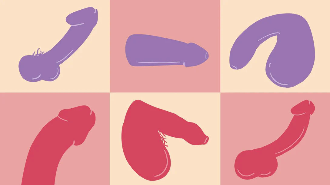AN ULTIMATE GUIDE TO PENIS SIZE, TYPE, AND GREAT SEX FOR DIFFERENT TYPES OF PENISES