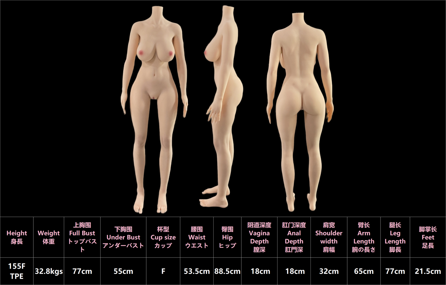 155cm/5ft1 F-cup Big Boobs Silicone Head Sex Doll - #62 Aki