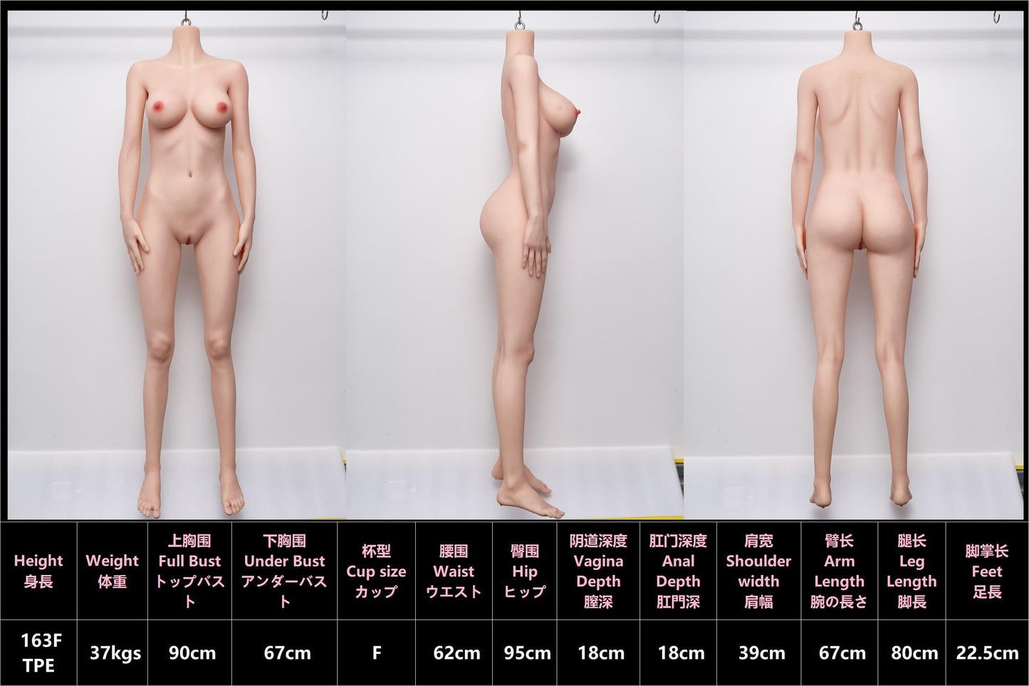 163cm/5ft4 F-cup Big Boobs Silicone Head Sex Doll - #30 Evelyn