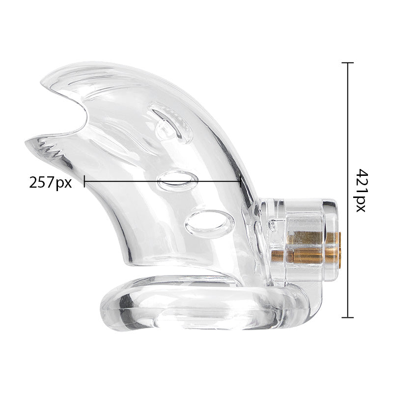 Durchsichtiges Keuschheitsschloss