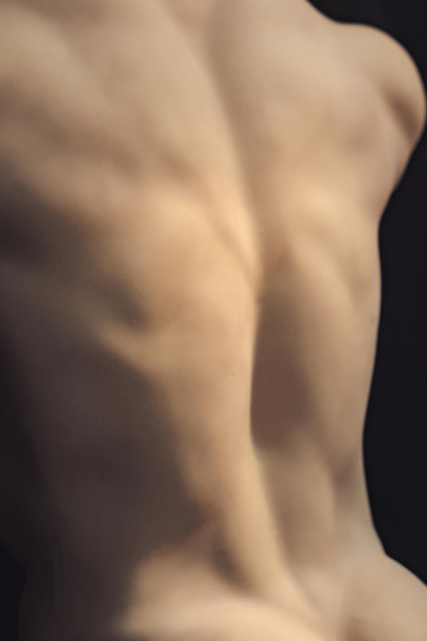 Muscular Silicone Head Male Sex Doll Torso - Ronin