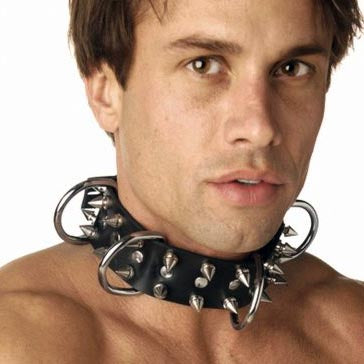 Leather Spiked Dog Collar