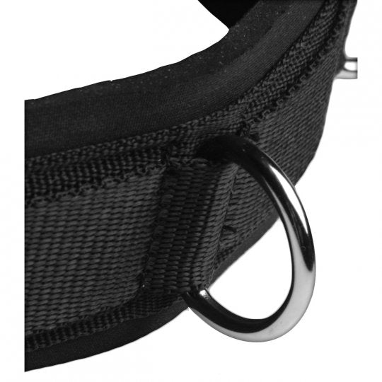 Neoprene Collar with D-Rings