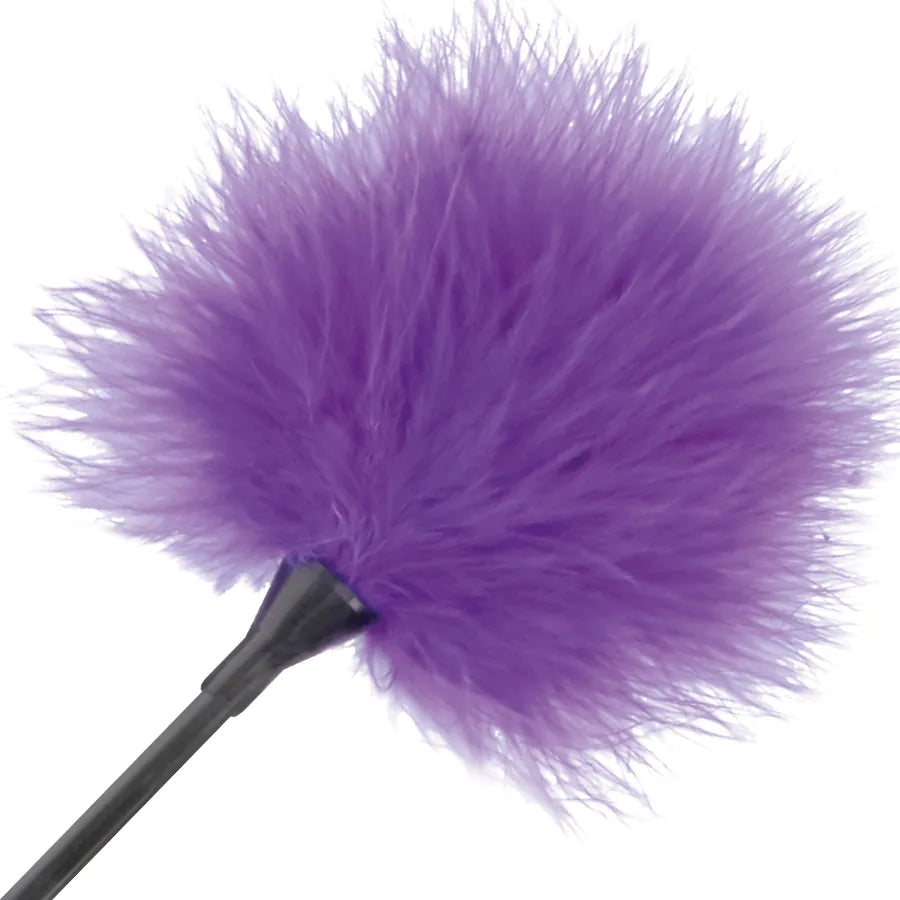 Accessoire Bdsm Plumes Chatouilles Lilas