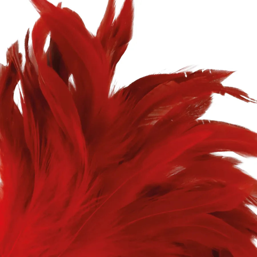 Accessoire Bdsm Plumes Rouges Érotiques