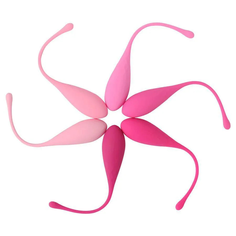 Boules De Geisha En Silicone Pour Renforcement Pelvien