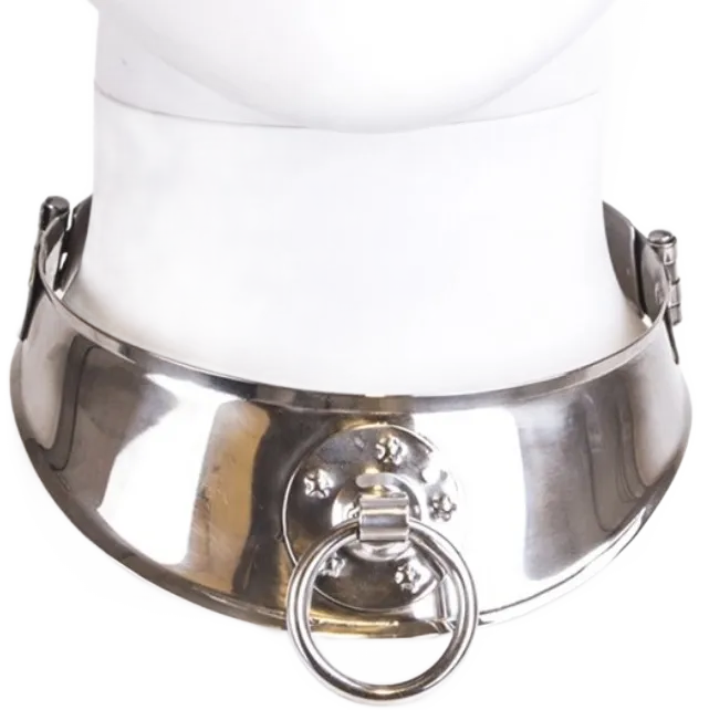 Collier De Soumission En Acier Inoxydable Pour Hommes