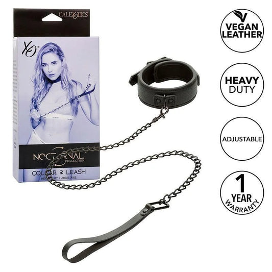 Collier Et Laisse Bdsm En Métal Robuste