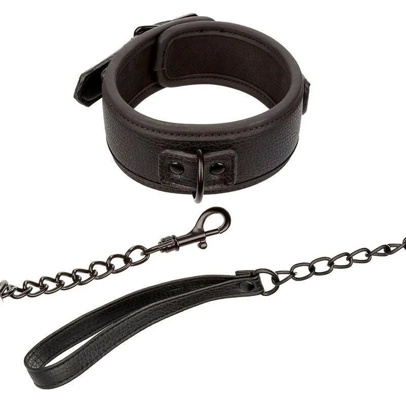 Collier Et Laisse Bdsm En Métal Robuste