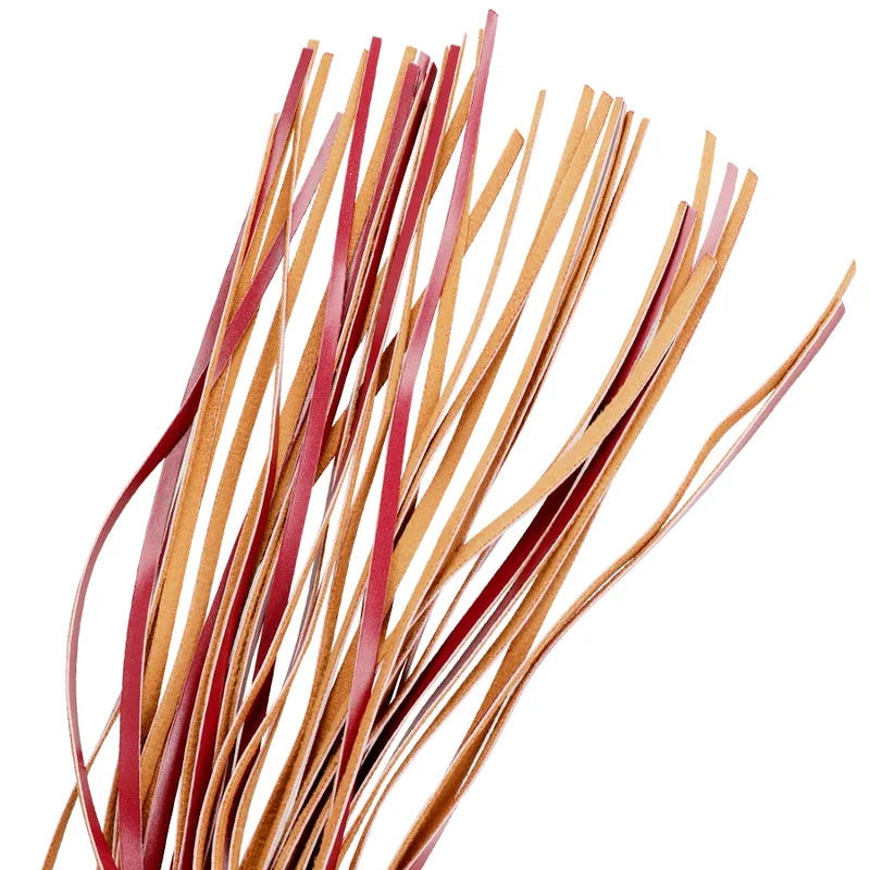 Fouet Bdsm Cuir Vegan Haute Qualité