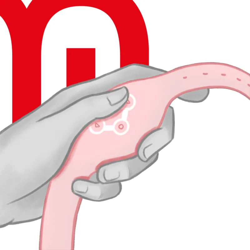 Montre Intelligente Sexuelle Étanche Silicone