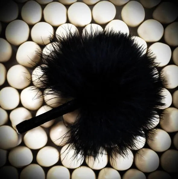 Plumeau Érotique Pour Zones Sensibles