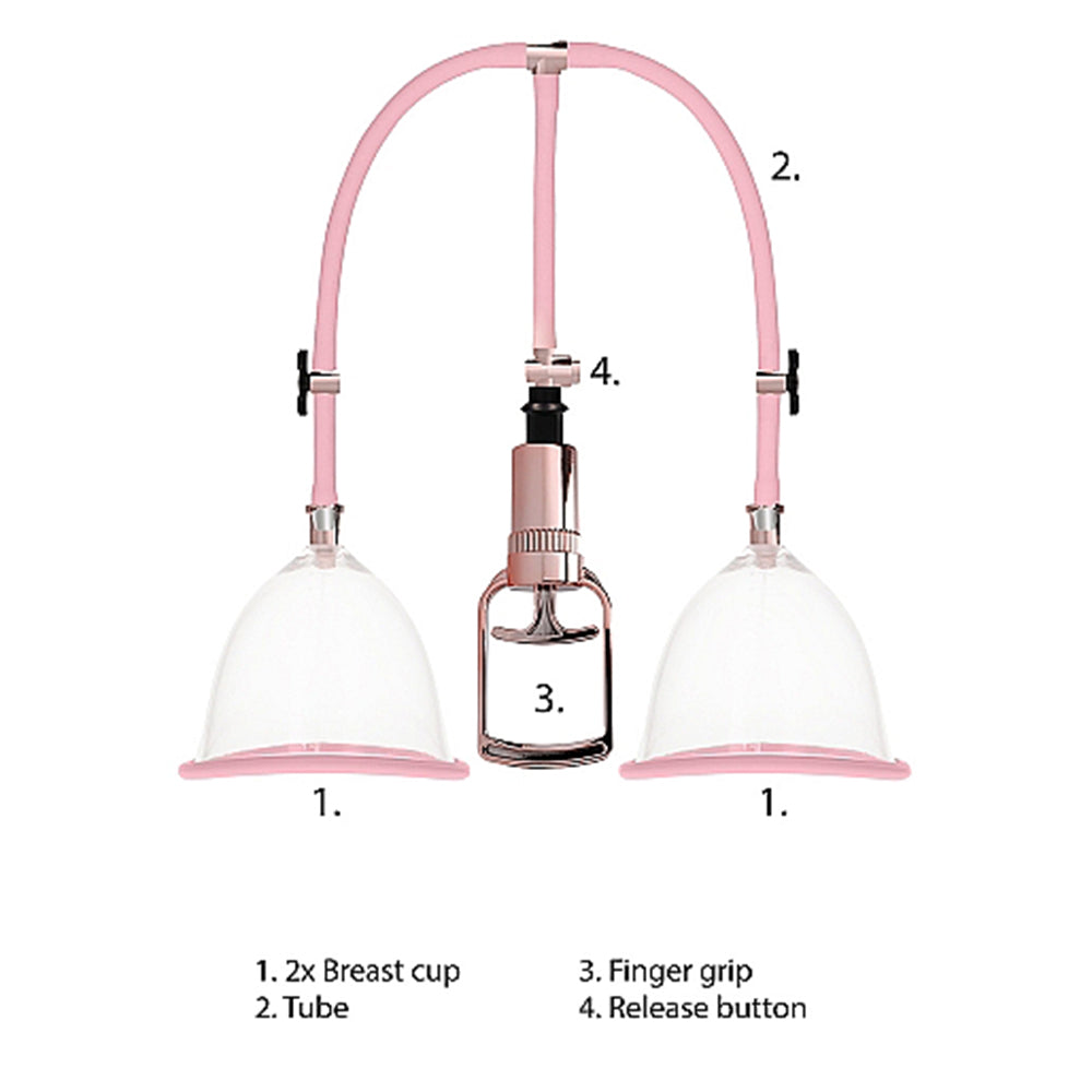 Gepumptes Milchpumpenset