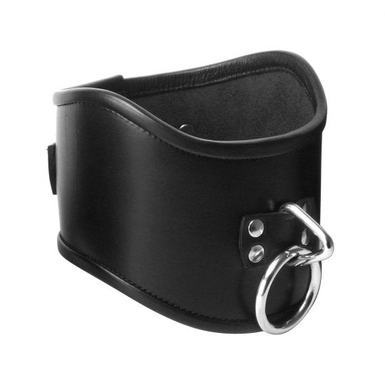 Locking Posture Collar