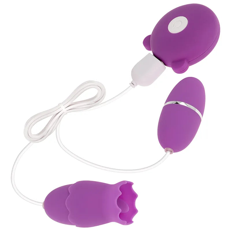 Œuf Vibrant Clitoridien Rechargeable Silicone