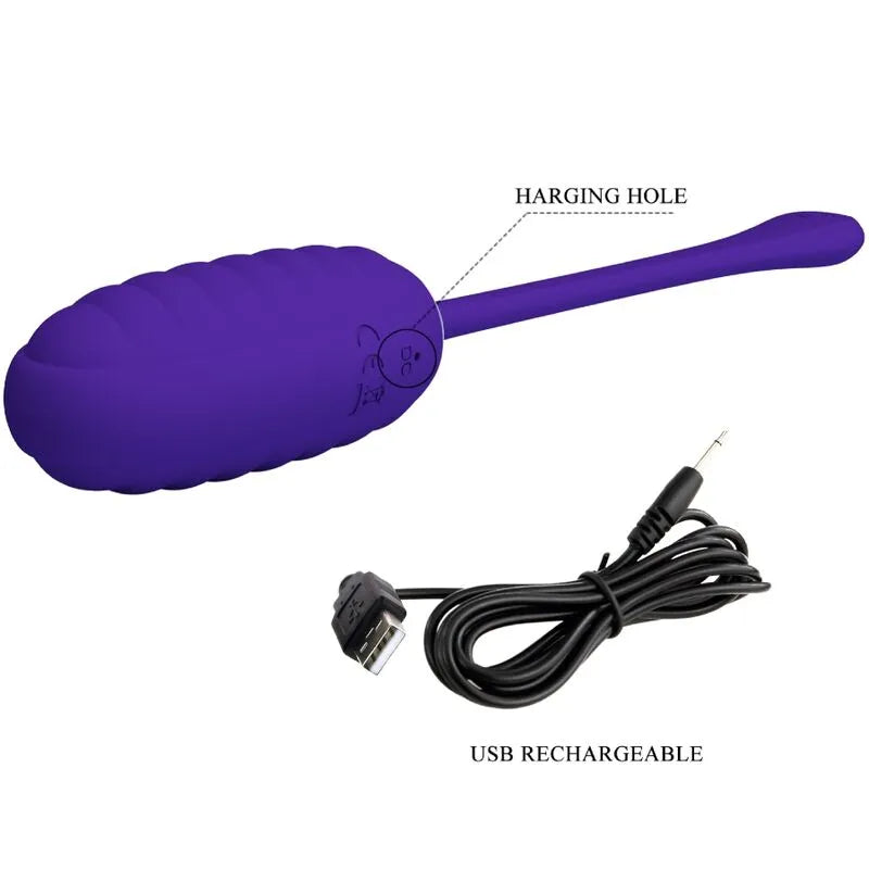 Œuf Vibrant En Silicone Violet Rechargeable