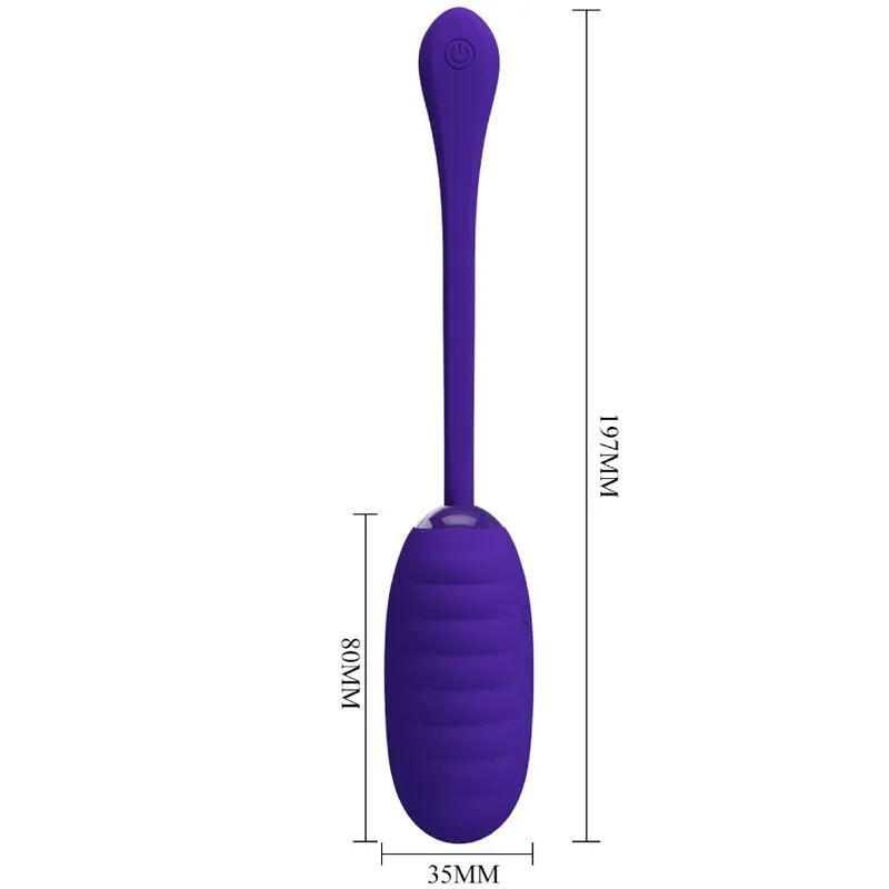 Œuf Vibrant En Silicone Violet Rechargeable