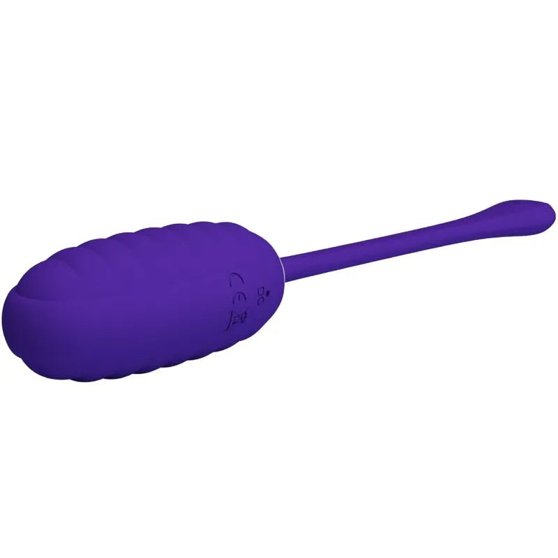 Œuf Vibrant En Silicone Violet Rechargeable