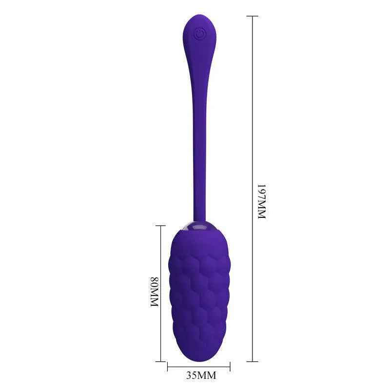 Œuf Vibrant Silicone Violet 12 Fonctions