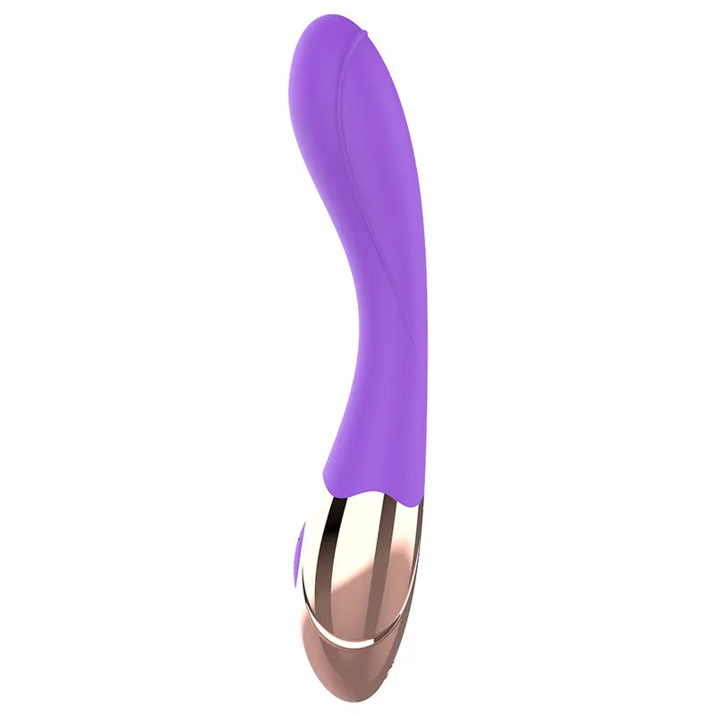 Vibromasseur Point G Silicone Rechargeable Ou Lilas
