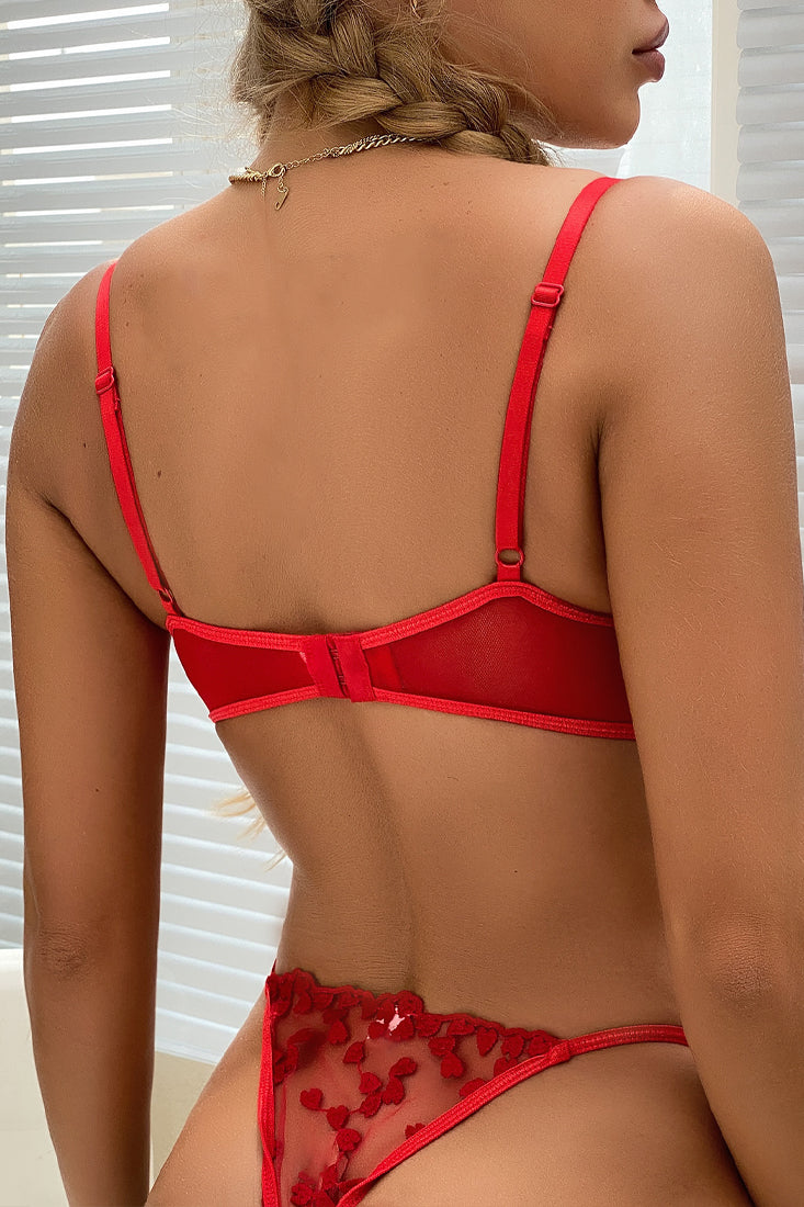 Sexy Red Heart Embroidered Mesh 2 Pc Lingerie Set