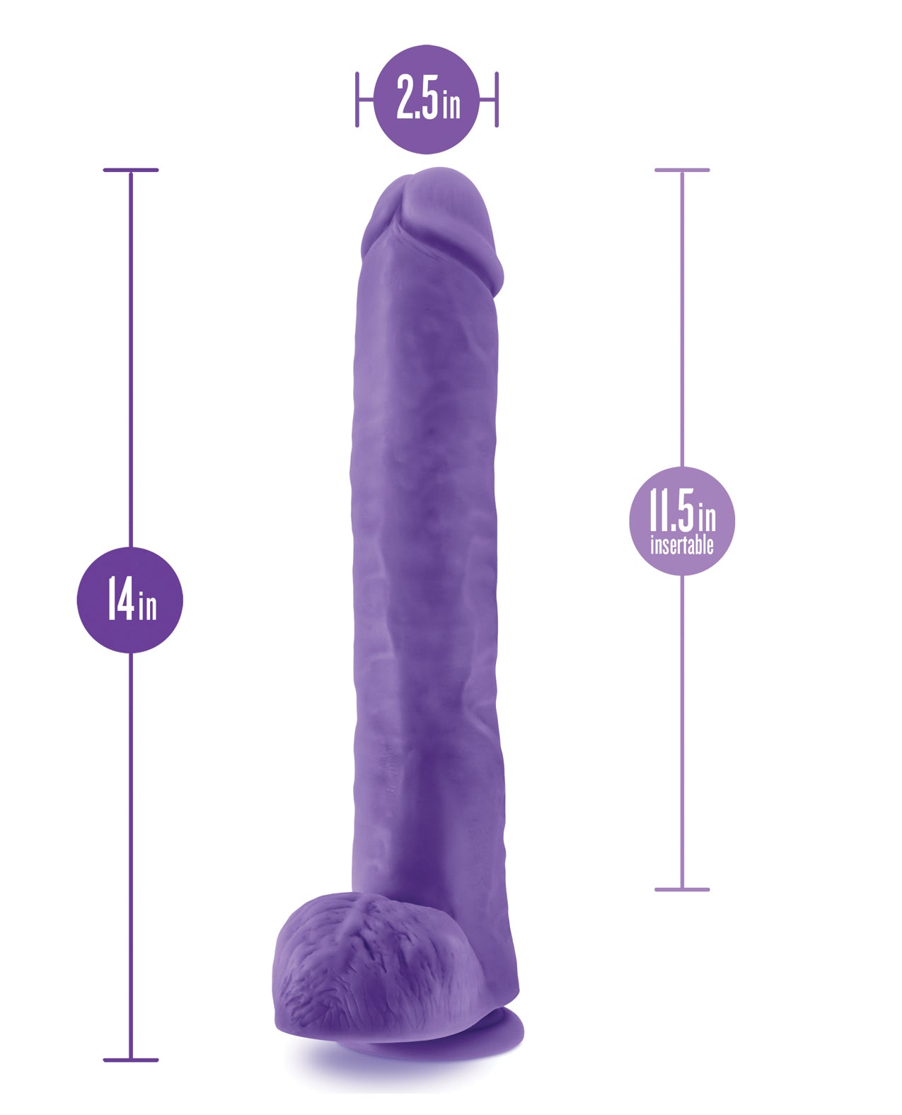 Blush Au Naturel Bold Daddy 14" Dildo - Lila