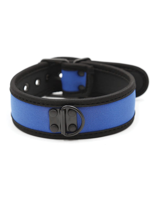 Plesur Neopren-Welpenhalsband - Blau