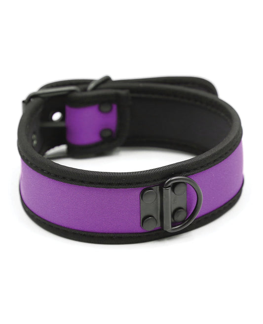 Collier pour chiot en néoprène Plesur - Violet