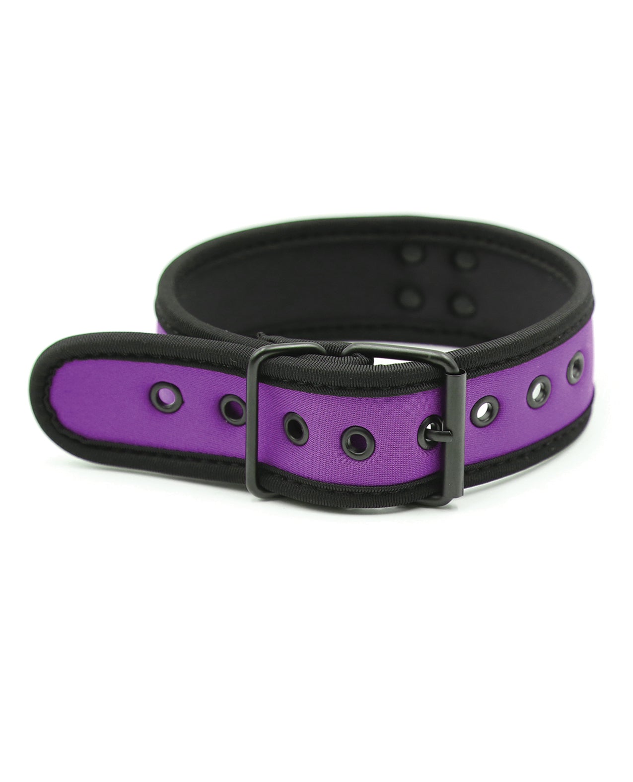 Collier pour chiot en néoprène Plesur - Violet