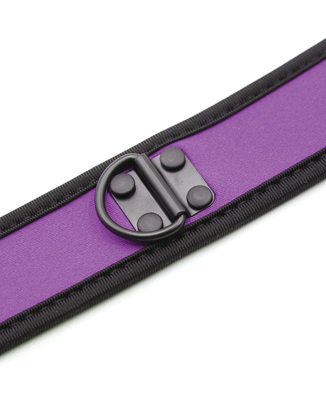 Collier pour chiot en néoprène Plesur - Violet