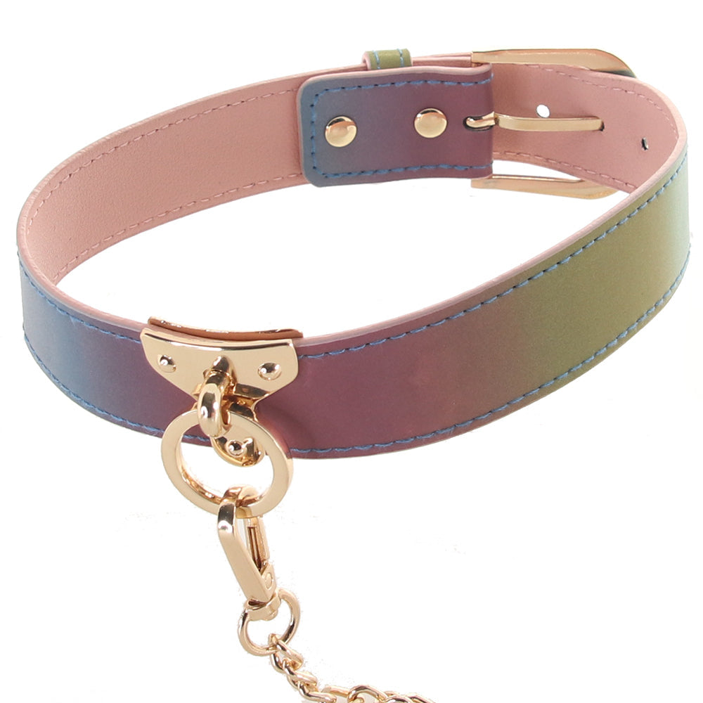 Spectra Bondage Collar & Leash